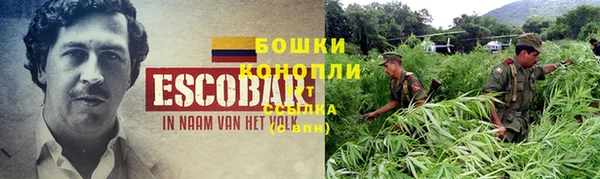 ПСИЛОЦИБИНОВЫЕ ГРИБЫ Балабаново