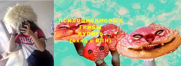 ПСИЛОЦИБИНОВЫЕ ГРИБЫ Балабаново